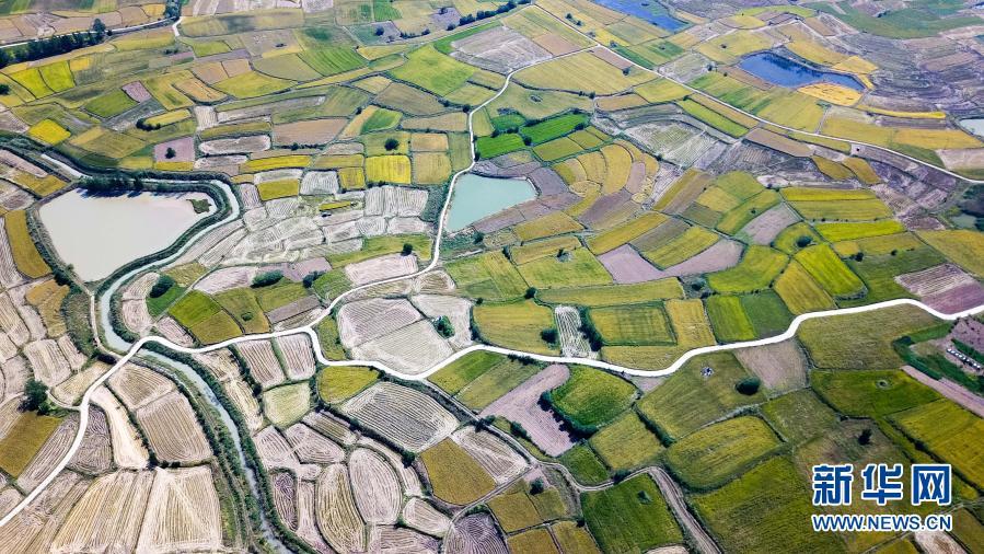 Bet¡¤365(ÑÇÖÞ)Ψһ¹Ù·½ÍøÕ¾